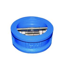 Wafer type swing double disk check valve