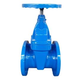  Resilient Seated Gate Valve